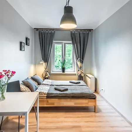 Fenna 7 Minut Od Rynku Gasthuis